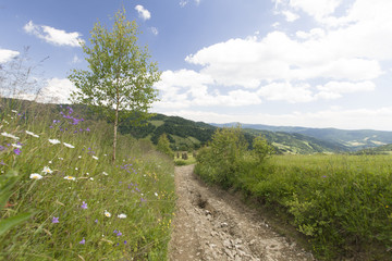 Gorczańskie łąki, Polska © Piotr Szpakowski
