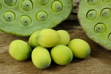 Green Lotus seed