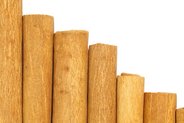cinnamon sticks isolated on a white