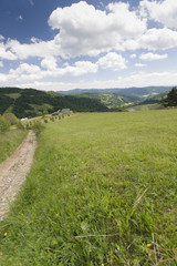 Gorczańskie łąki, Polska © Piotr Szpakowski