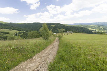 Gorczańskie łąki, Polska © Piotr Szpakowski