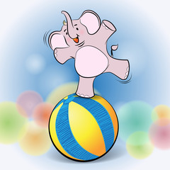 cute elephant play on Ball