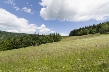Gorczańskie łąki, Polska © Piotr Szpakowski