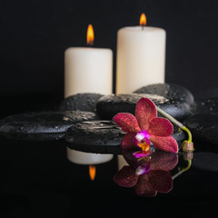 Beautiful spa concept  of deep purple orchid (phalaenopsis) and