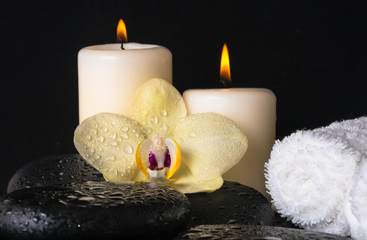 Beautiful spa set of yellow orchid (phalaenopsis) on zen stones,