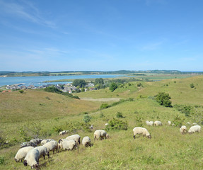 Fototapeta premium Blick auf den Fischer-und Urlaubsort Gager auf Rügen