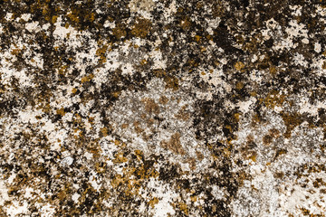 Stone background