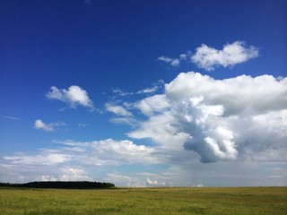 summer landscape