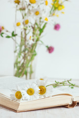 Chamomile flowers in open book