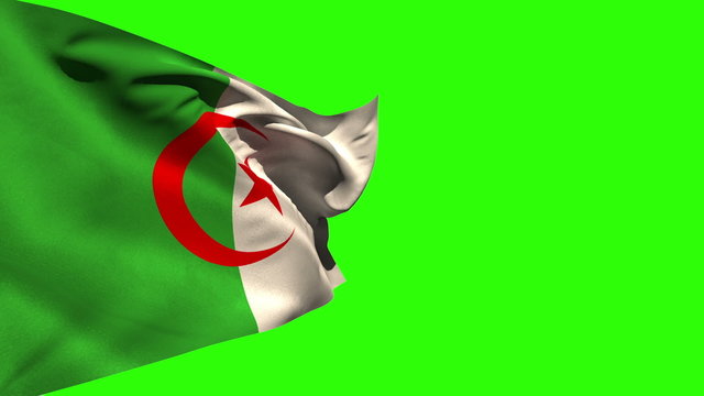 Large algeria national flag blowing