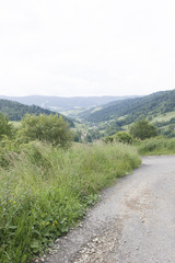 Gorce, dolina potoku Jamne © Piotr Szpakowski