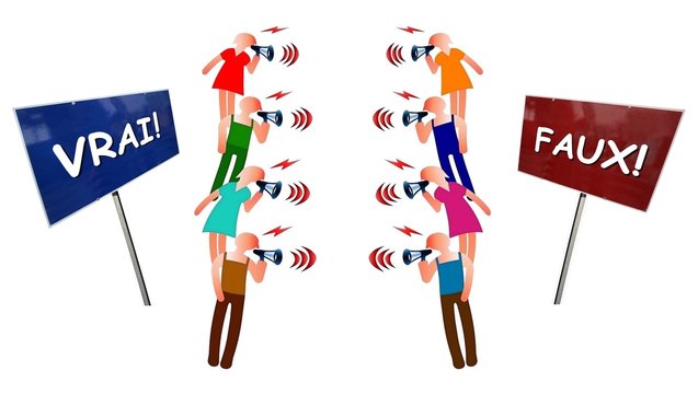 D&eacute;bat  "Vrai vs Faux"