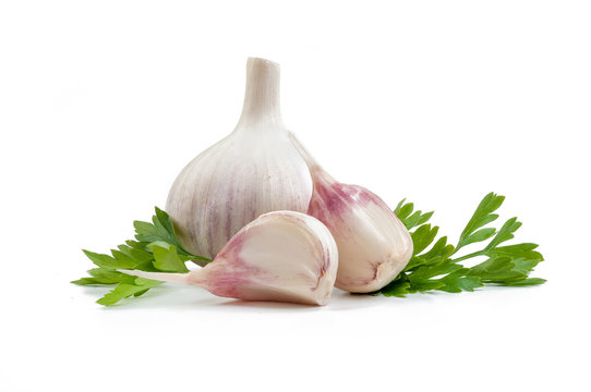 Garlic