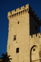 Palais des papes,Avignon