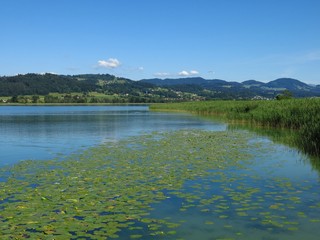 Lake Pfaeffikon