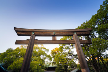 Naklejka premium Brama Torii stojąca przy wejściu do świątyni Meiji Jingu w Tokio