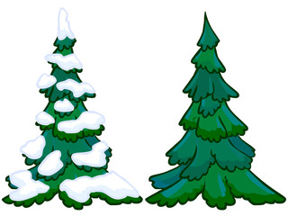 The cartoon illustration of a spruce tree