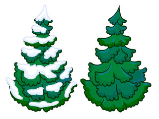 The cartoon illustration of a spruce tree