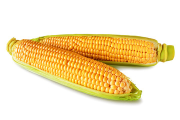 Corn