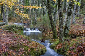 river waterfall