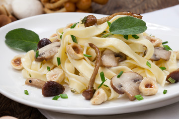 Wild Mushrooms Pasta