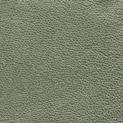 green leather texture as background