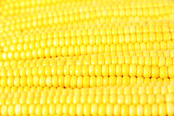 Crude corns on wooden table