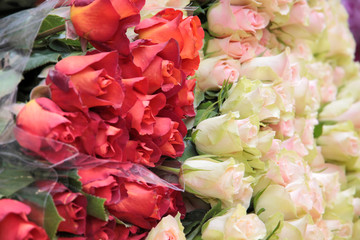 Dicker Bund mit weißen und roten Rosen in einem Blumenladen
