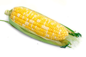 An ear of corn isolated on a white background
