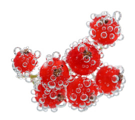 Beautiful ripe red currant in water with bubbles, isolated