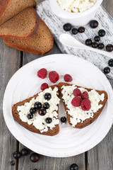 Bread with cottage cheese and berries on plate close-up