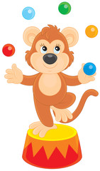 Circus monkey juggling with color balls