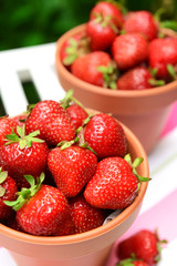 Ripe sweet strawberries in pots on table in garden