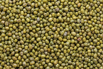 mung beans isolated on white background