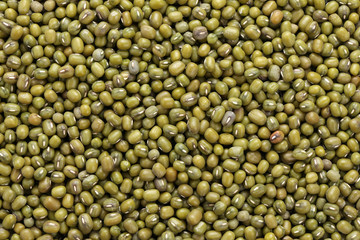 mung beans isolated on white background