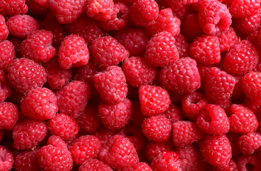 Ripe sweet raspberries close-up