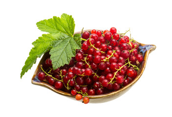 Red currant