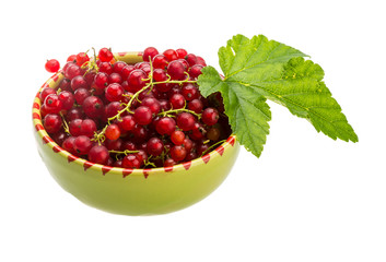 Red currant
