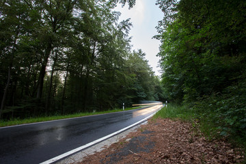 car on a rainy forest road