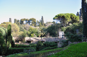 Old park in Barcelona - Spain