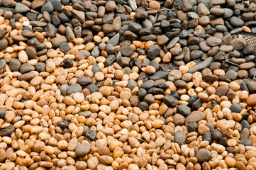 River Stone Background