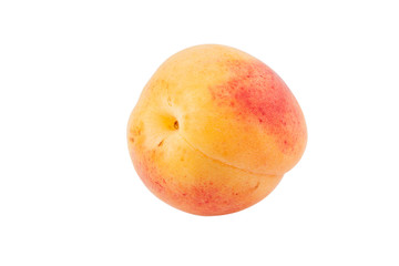 apricot isolated cutout