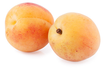 apricot isolated cutout