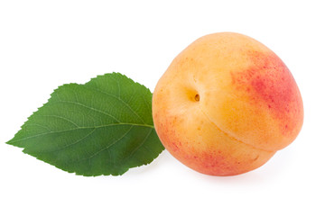 apricot isolated on white