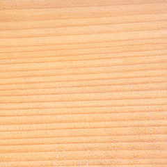 closed up of wood texture background