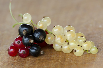 White, red and black currant