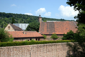 Fototapeta na wymiar Schloss in Büdingen