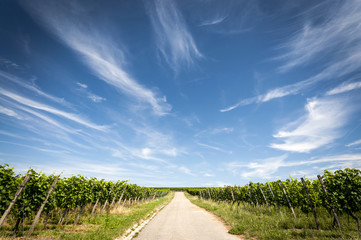 Kaiserstuhl