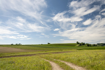 Kaiserstuhl