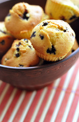 Delicious homemade blueberry muffins